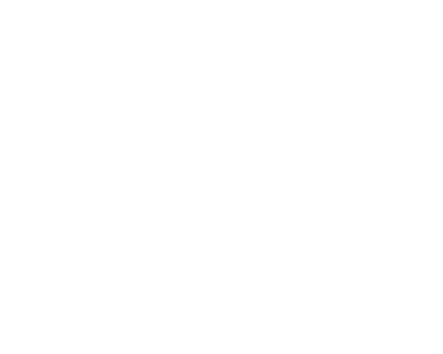 THE PREMIER